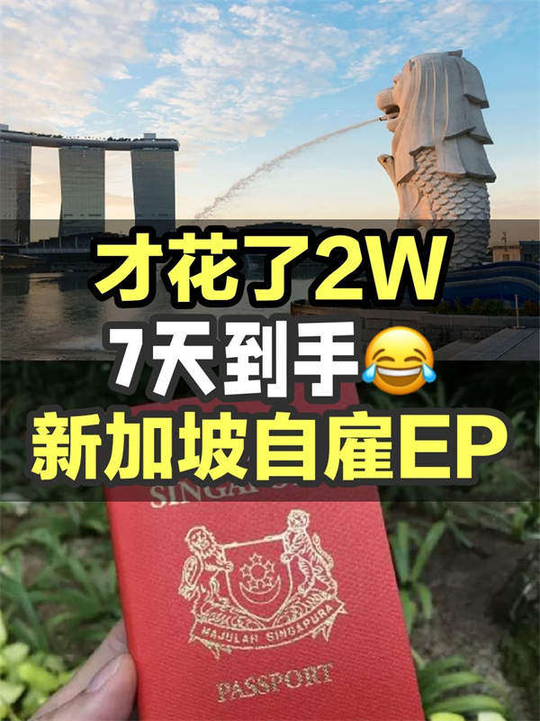 新加坡移民正在紅利期7天就拿身份！