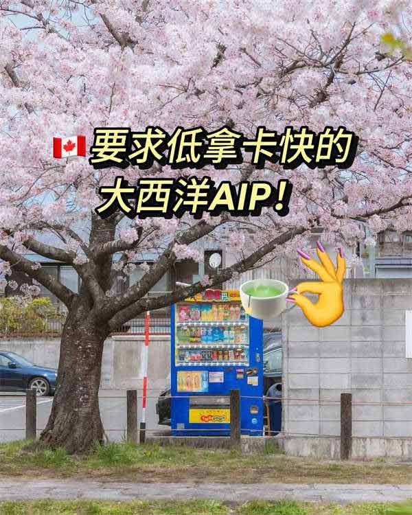 加拿大要求低拿卡快的大西洋AIP！