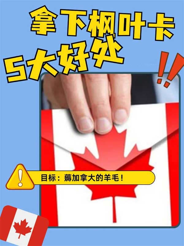 來薅加拿大的羊毛！拿下楓葉卡的5大好處