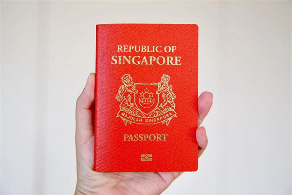 超高性價比拿新加坡身份方式：新加坡自雇EP