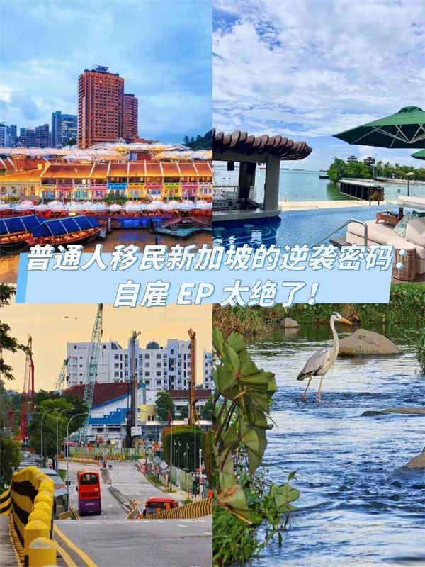 普通人移民新加坡的逆襲密碼！