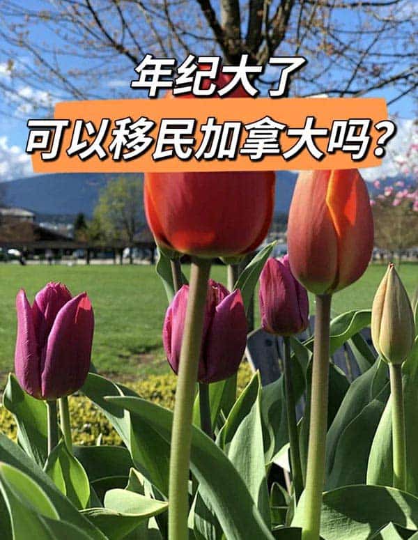 年紀(jì)是道坎！年紀(jì)大了可以移民加拿大嗎？