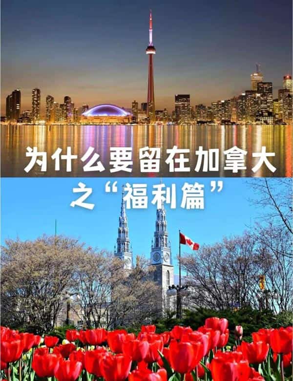為什么要留在加拿大之“福利篇”