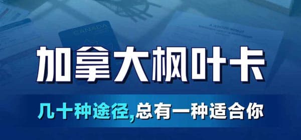 加拿大移民勝率最高的4大人群