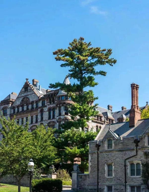 關于美國L1簽證的一些細節(jié) 關于美國L1簽證的一些細節(jié)