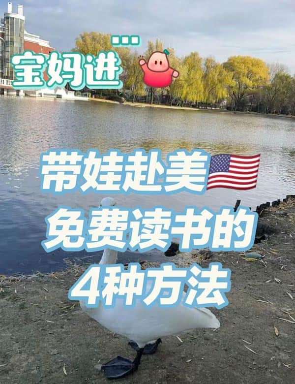 寶媽進(jìn)！帶娃赴美免費(fèi)讀書(shū)的4種方法