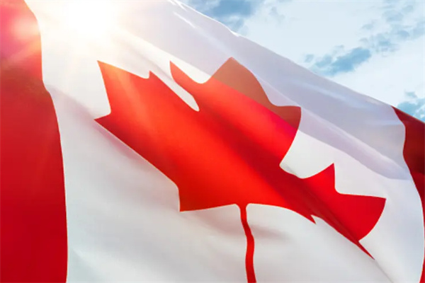 大齡移民加拿大，看這兩個(gè)主流方式就夠了